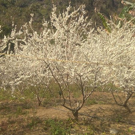Trieu Chuong Homestay Cao Bang Eksteriør bilde